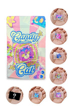 Load image into Gallery viewer, Candy Cat- Acrylic Pin Mystery Pack